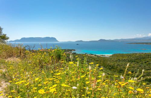 Golfo Aranci - Cala Delfino - Foto 10