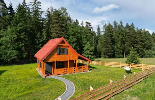 Okno na las - Foto 1