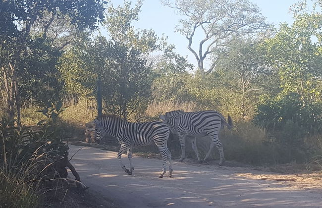 Kruger National Elephant Point Lodge - Foto 50