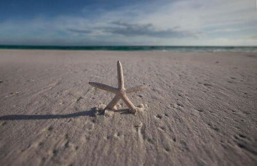 Holiday Surf and Racquet Unit 218 - Foto 30