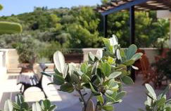 Tenuta Serra Peccatori - Foto 20