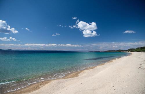 TORONI ALPHA STUDIOS - Foto 74