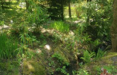 Jaworowy Stok z widokiem na góry i ogrodem - Foto 52