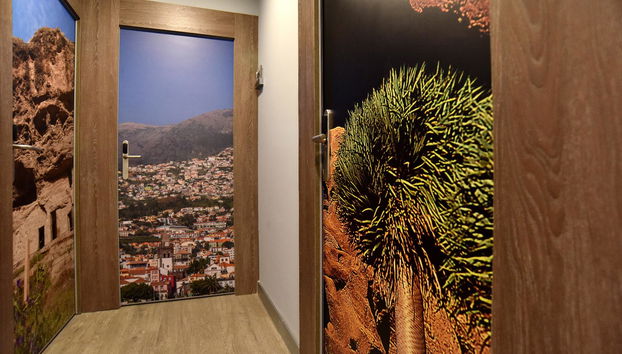 DOÑA LUISA - Photo 4