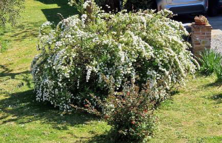 Casa Morena - Foto 28