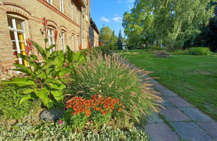 Zwei "Giebelwohnungen" im Kunstgut Krahne - Foto 28