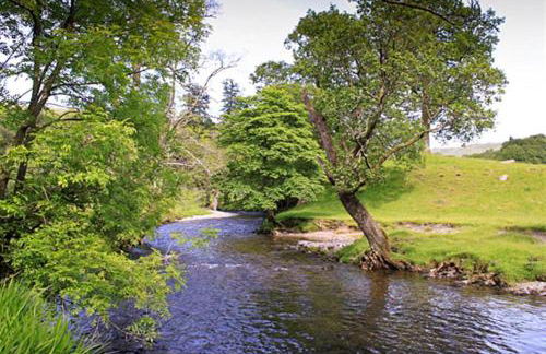 Spring Cottage - Foto 35