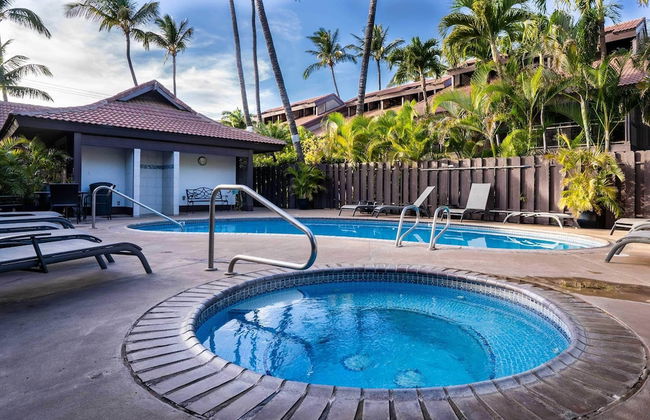 Tropical & Serene Garden Vistas - Photo 30