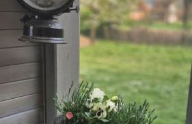 LandOase Buchhorst - Photo 29