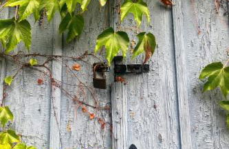 Romantikferienhaus am Schlösschen - Sauna, Kamin & Seenlandschaft nahe Berlin - Foto 23