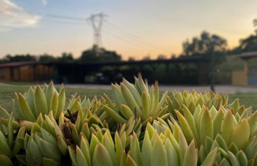 Podere Pozzo Fatato - Foto 23