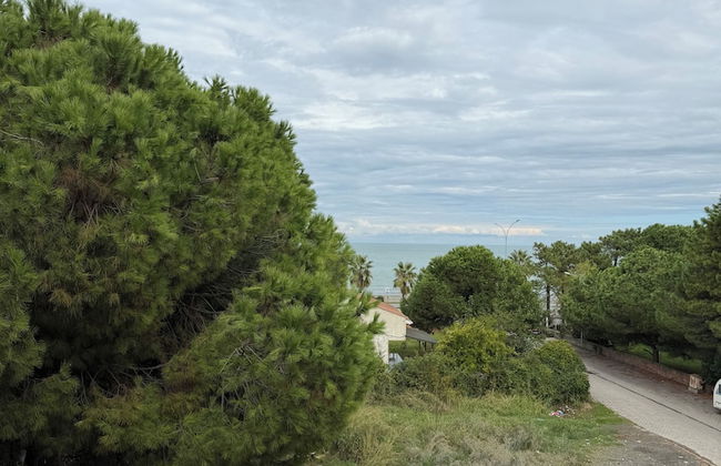 Deluxe Beach Residence - Photo 62