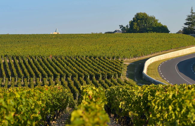 Medoc Wine Tour - Photo 8