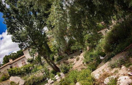 AT Restaurante El Palacil - Foto 63