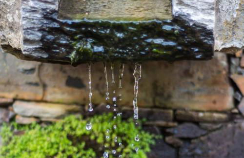 Refúgios do Pinhal - Photo 50