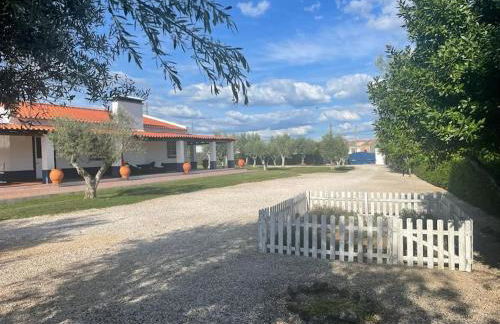 Casa das Oliveiras - Foto 39