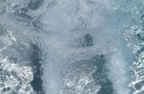 La Casetta di Camelia - Foto 48