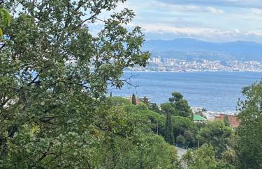 Vista Adriatic - Photo 14