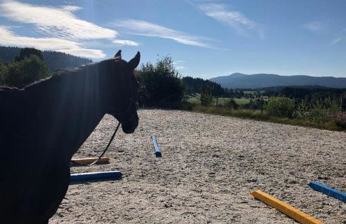 Biohof Weiderer - Foto 17