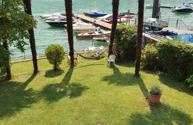 Le palme Antonella - Foto 26