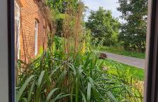 FairSchlafen - Atelier - Foto 8