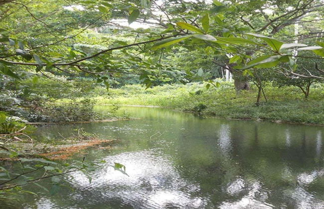 Randonnée à Abra de Canasí + Snorkeling - Photo 4