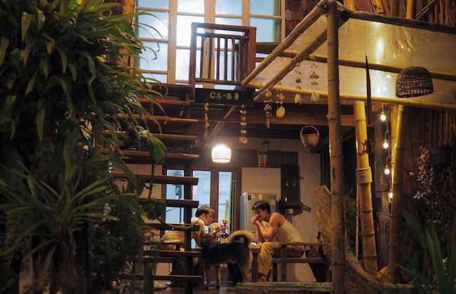 The Frog Cabana - Photo 54