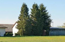 Ferienwohnung Achhammer - Foto 18