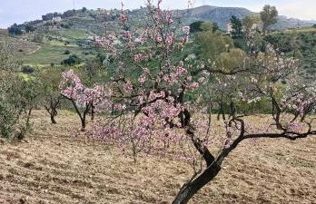 Rifugio Contemporaneo - Foto 32