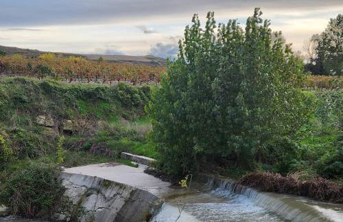 Piso en Cuzcurrita de Rio Tirón - Foto 19