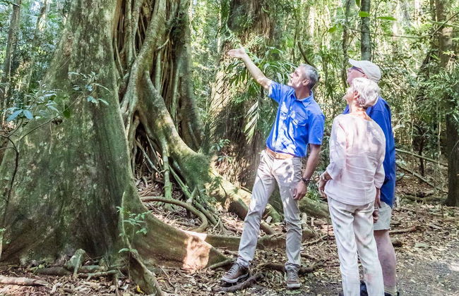 Visite gastronomique sur la Sunshine Coast - Photo 7