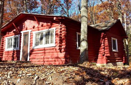 Secluded Lakeside Cabin in the Heart of the Manistee National Forest, Michigan - Foto 1