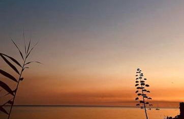 Casa Plumeria - Foto 37