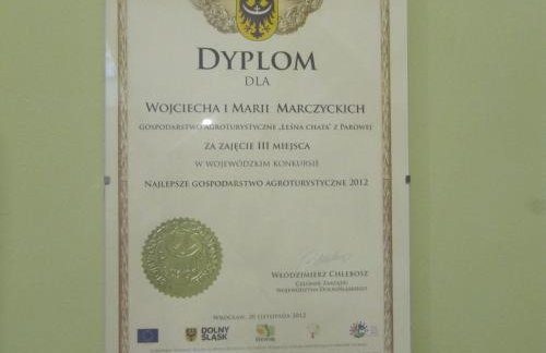 Agroturystyka Leśna Chata - Foto 23