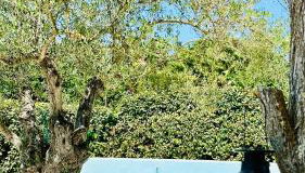 Villa Nature con Piscina Privada · Wifi ·AC · BBQ - Foto 3