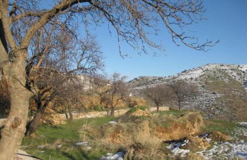 Holiday Home in Laroya With Pool & BBQ - Foto 36