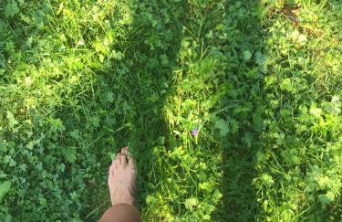 Chata filozofa pod Policą - Foto 42