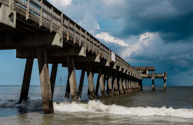 Excursión a la isla Tybee + Avistamiento de delfines - Foto 6