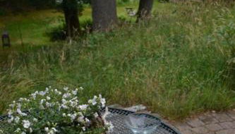 Ferienwohnung am See in Soderstorf - Foto 3