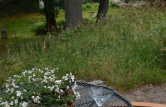 Ferienwohnung am See in Soderstorf - Foto 3