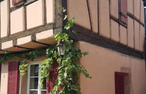 Gite familiale avec piscine Hunawihr, proche de Ribeauvillé et Colmar - Foto 36