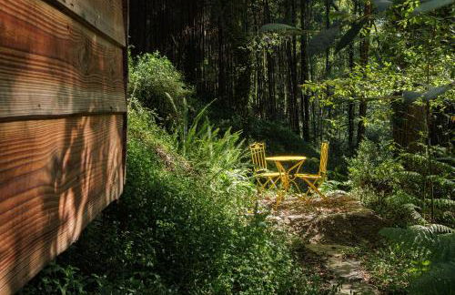 Be&See in River - Foto 15