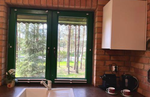 Raj na Kaszubach - Pałubicka Bór - Domy na Wynajem - Foto 36