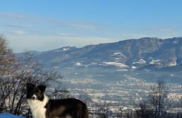 La casa di Maia - Alloggio Agrituristico - Foto 44