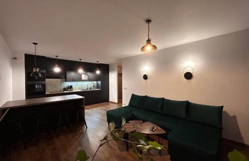 BoleslaviaApartments - Apartament Arte 2 - parking free, EV - Foto 3