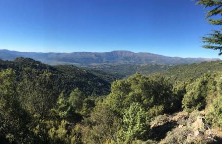 Appartamento Villanova - Foto 27