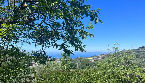 La Noce Holiday House - Foto 4, Garden view