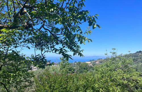 La Noce Holiday House - Foto 4