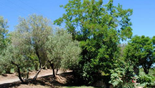 Holiday Home Villa Belle Vue- direkt am Meer- 1-2 Haustiere erlaubt by Interhome - Foto 5