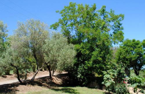 Holiday Home Villa Belle Vue- direkt am Meer- 1-2 Haustiere erlaubt by Interhome - Foto 5